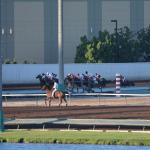 LosAl_Race_0071 (July 26, 2015)
